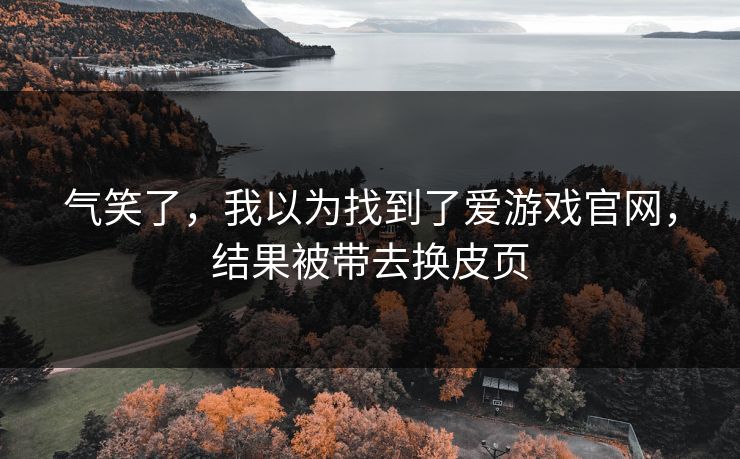 气笑了，我以为找到了爱游戏官网，结果被带去换皮页