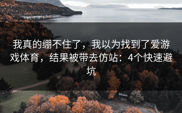 我真的绷不住了，我以为找到了爱游戏体育，结果被带去仿站：4个快速避坑