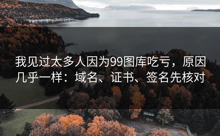 我见过太多人因为99图库吃亏，原因几乎一样：域名、证书、签名先核对