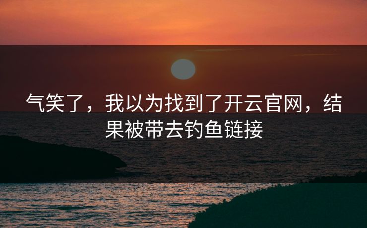 气笑了，我以为找到了开云官网，结果被带去钓鱼链接