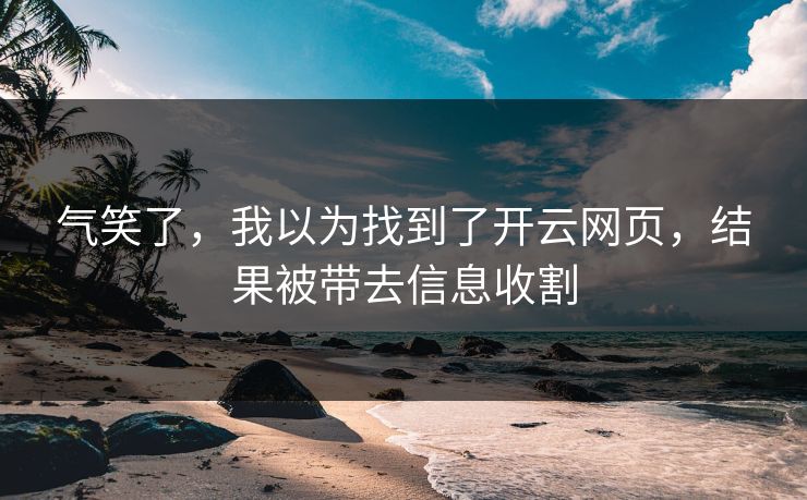 气笑了，我以为找到了开云网页，结果被带去信息收割